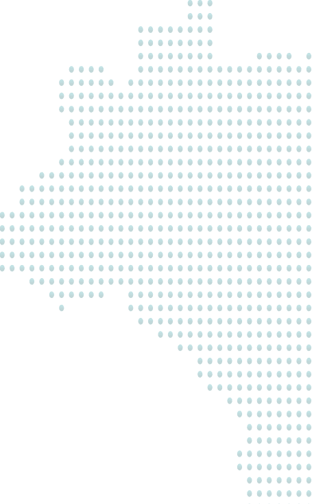 Sogov Urb Map Pattern